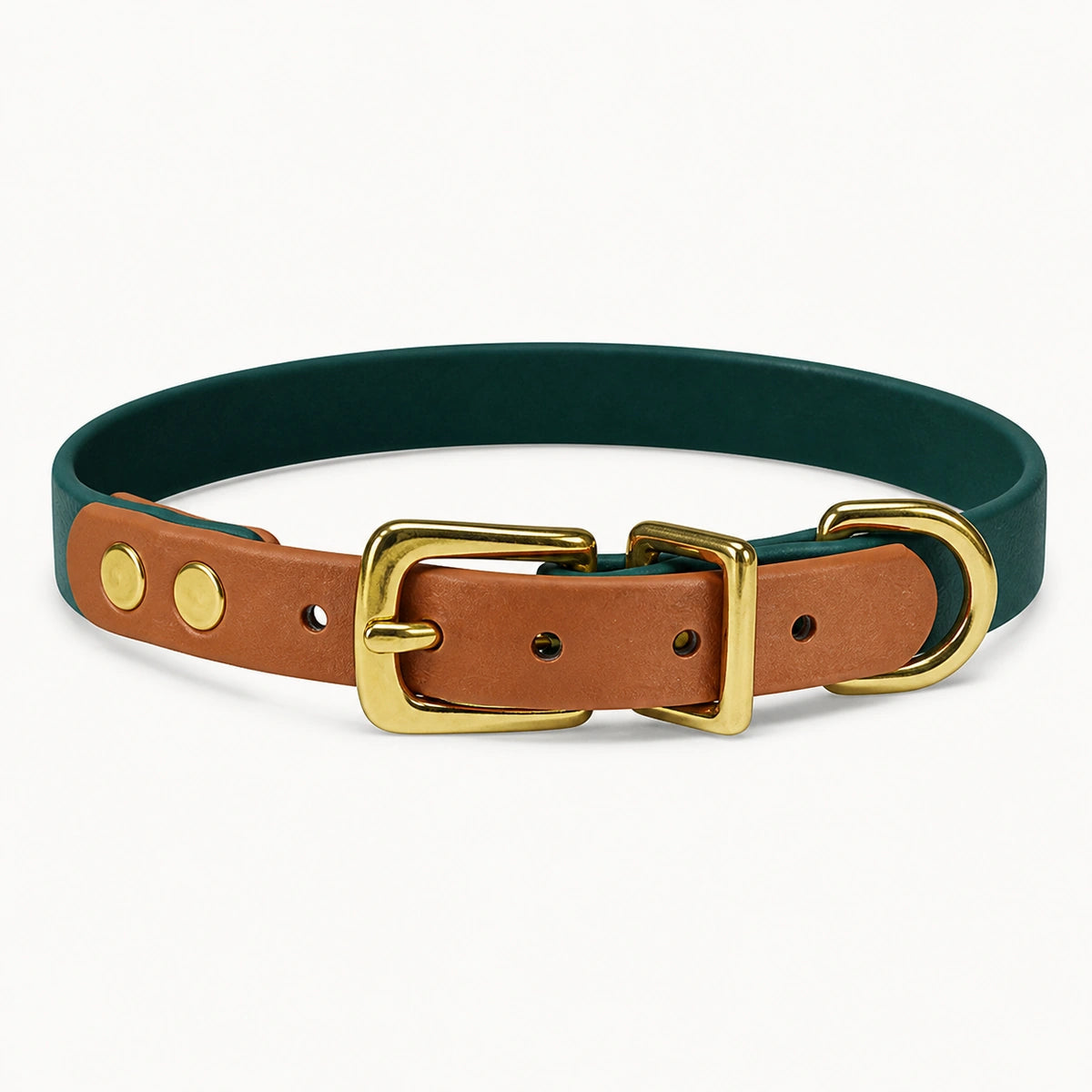Meridian dog collar in moss green with caramel brown trim and matte gold hardware